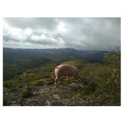 Ferme des Monts et des Sources - Avène