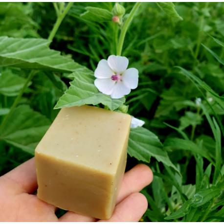 Shampoing solide crinière