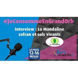 Interview La Mandaline : Safran et maraîchage en sols vivants